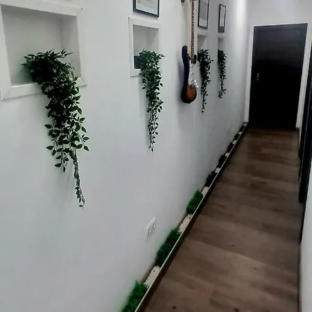 Vida Tenerife
