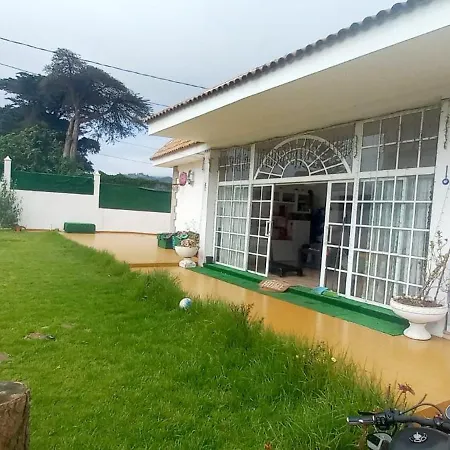 게스트하우스 Vida Tenerife *